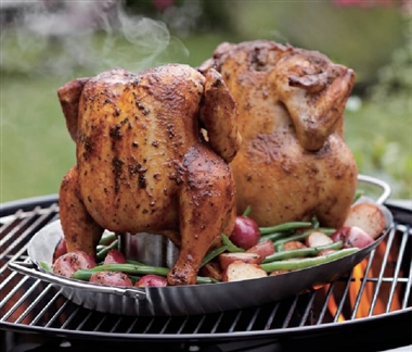 BBQ Double Chicken Roaster with Drip Pan