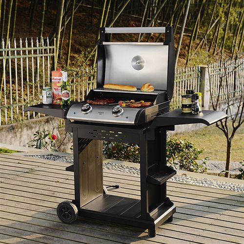 Premium Electric Barbecue Grill with Cast Iron Grill Grates