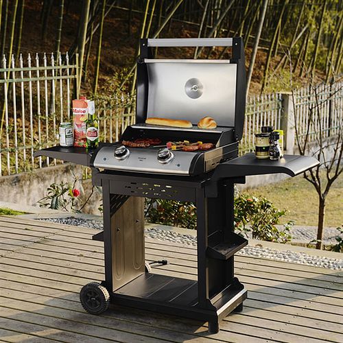 Premium Electric Barbecue Grill with Cast Iron Grill Grates