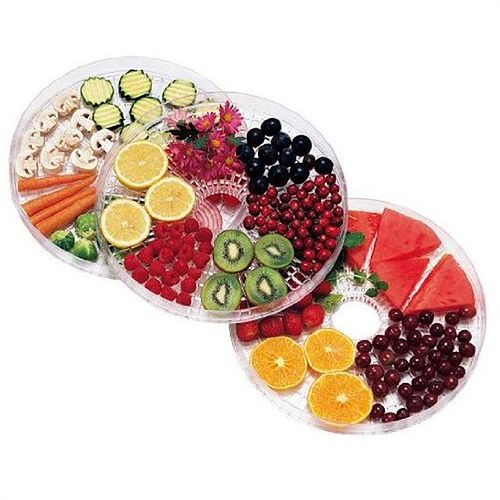 Dehydrator Trays with Food